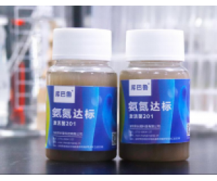 生化系統崩潰，氨氮超標，我該怎么辦?